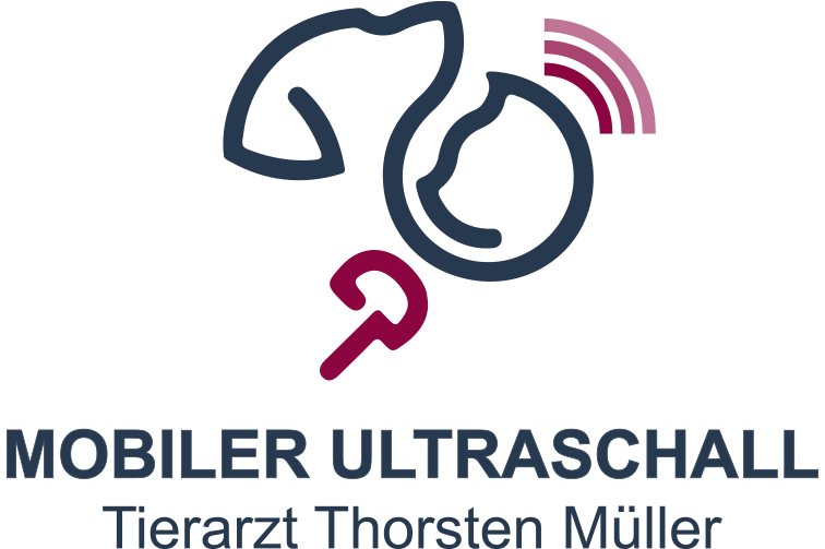 Mobiler Ultraschall Kardiologie Abdomen Logo